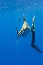 Watch Jaws The Great White Myth [2012] 9Movies